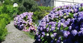 Casa De Carcavelos | Norte - Braga Bölgesi - Cabeceiras de Basto