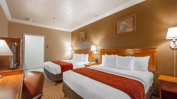 Comfort Inn & Suites San Francisco Airport North | Kaliforniya - San Fransisko (ve civarı) - South San Francisco