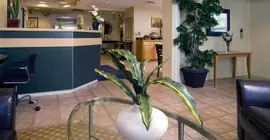 Jacksonville Plaza Hotel and Suites | Florida - Jacksonville (ve civarı) - Jacksonville