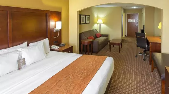 Comfort Suites Port Allen | Louisiana - Baton Rouge (ve civarı) - Port Allen