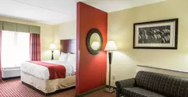 Comfort Suites Mount Juliet | Tennessee - Nashville-Davidson - Nashville (ve civarı) - Mount Juliet