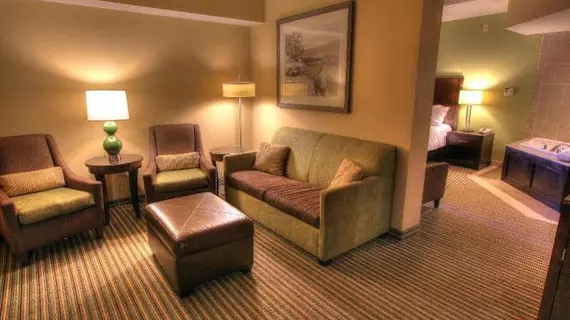 HILTON GARDEN INN GATLINBURG | Tennessee - Gatlinburg - Pigeon Forge (ve civarı) - Gatlinburg