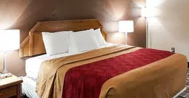 Econo Lodge | Indiana - Indianapolis (ve civarı) - Shelbyville