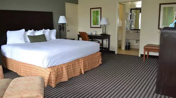 Best Western Downtown Stuart | Florida - Vero Beach (ve civarı) - Stuart