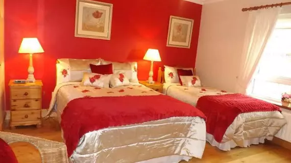 Gort na Mona Bed and Breakfast | Donegal (kontluk) - Ardara