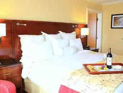 Marriott St Petersburg Clearwater | Florida - St. Petersburg - Clearwater (ve civarı) - St. Petersburg