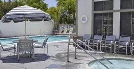 Travelodge by Wyndham Anaheim Convention Center | Kaliforniya - Orange County - Anaheim - Anaheim Resort