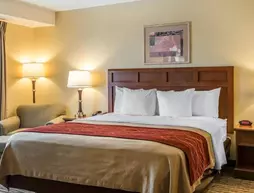 Comfort Inn Near FairPlex | Kaliforniya - Los Angeles County - San Gabriel Valley