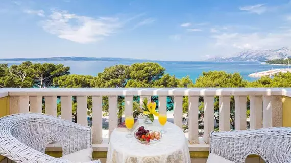 Villa Bacchus | Split-Dalmaçya - Baska Voda