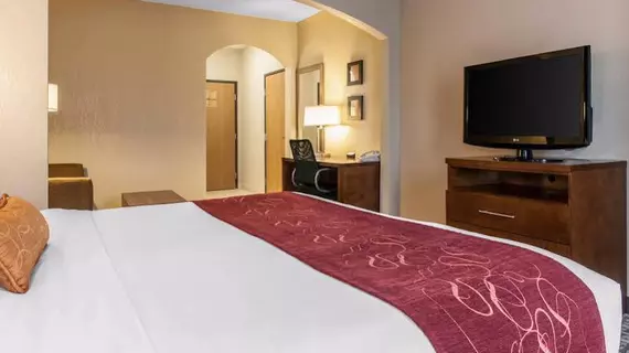 Comfort Suites Vincennes | Indiana - Vincennes (ve civarı) - Vincennes