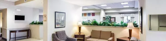 Comfort Inn & Suites San Antonio Airport | Teksas - San Antonio (ve civarı) - San Antonio - Kuzey San Antonio - SAT Havalimanı