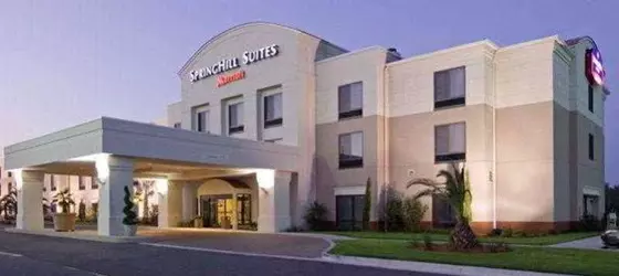 SpringHill Suites by Marriott Savannah I-95 South | Georgia - Savannah (ve civarı) - Savana