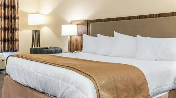 Quality Inn | Indiana - Indianapolis (ve civarı) - Indianapolis