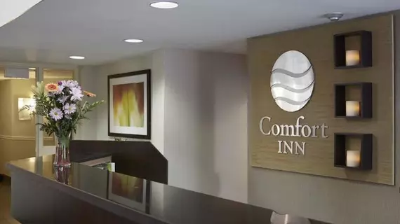 Comfort Inn East | New Brunswick - Moncton (ve civarı) - Moncton