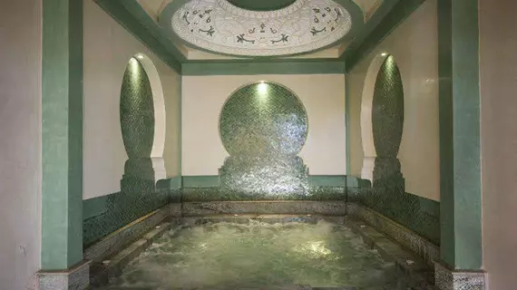 Palais El Miria & SPA | Marakeş (ve civarı) - Marrakech - Ouahat Sidi Brahim - Palmeraie