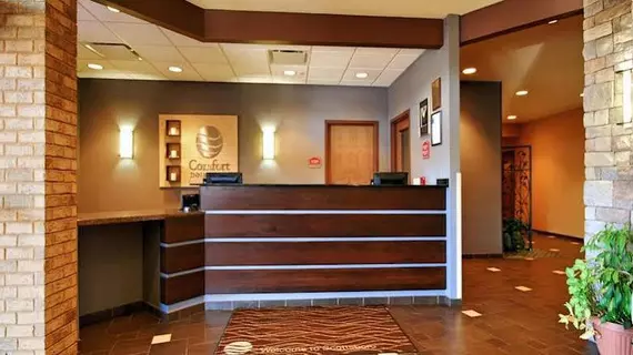 Comfort Inn & Suites Scottsboro | Alabama - Scottsboro (ve civarı) - Scottsboro