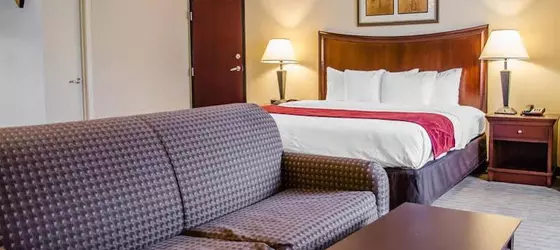 Comfort Suites Saraland | Alabama - Mobile (ve civarı) - Saraland