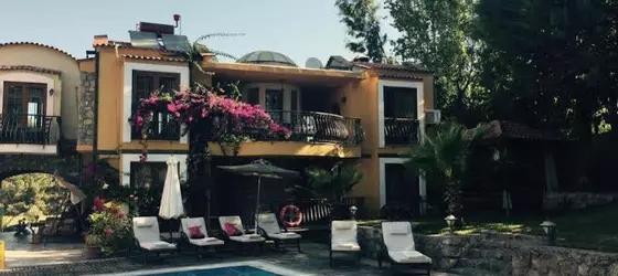 Olive Tree Studio | Muğla - Fethiye - Keçiler