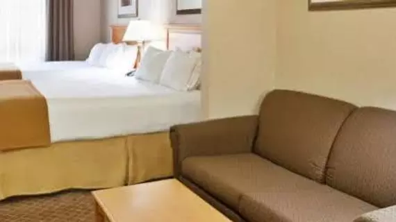 Holiday Inn Express Hotel & Suites Chesterfield - Selfridge Area | Michigan - Detroit (ve civarı) - Chesterfield