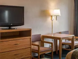 Comfort Inn Charlotte | Michigan - Lansing (ve civarı) - Charlotte