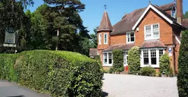 The Lawn Guest House | Surrey (kontluk) - Horley