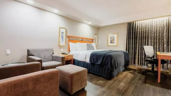 Executive Royal Inn North Calgary | Alberta - Calgary (ve civarı) - Calgary