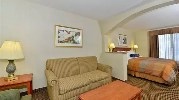 Best Western Airport Inn & Suites Oakland | Kaliforniya - Oakland (ve civarı) - Oakland