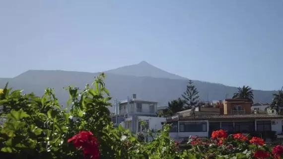 Apartamentos Chinyero | Kanarya Adaları - Santa Cruz de Tenerife - Puerto de la Cruz