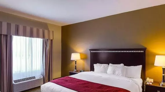 Comfort Suites University Abilene | Teksas - Abilene (ve civarı) - Abilene