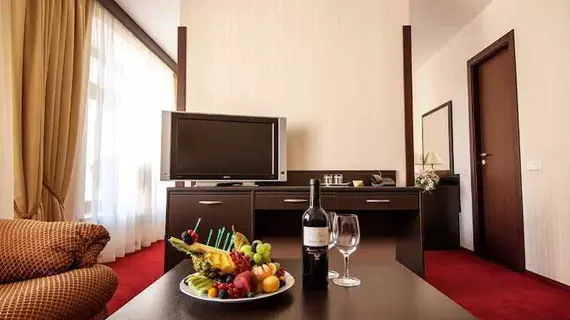 Smolninskaya Hotel | Leningrad Bölgesi - St. Petersburg (ve civarı) - St. Petersburg - Tsentralny