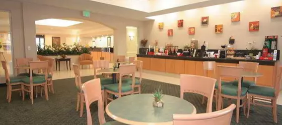 La Quinta Inn & Suites Houston Hobby Airport | Teksas - Houston (ve civarı) - Houston