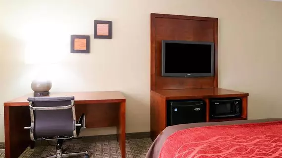 Comfort Inn & Suites Leeds | Alabama - Birmingham (ve civarı) - Leeds