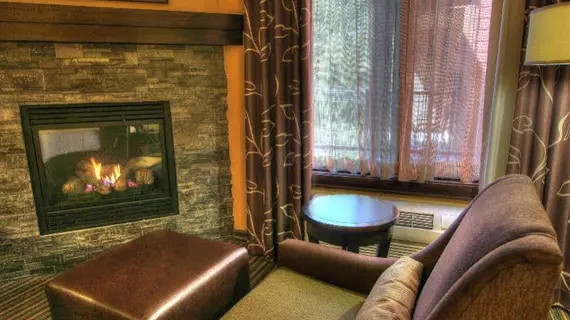 HILTON GARDEN INN GATLINBURG | Tennessee - Gatlinburg - Pigeon Forge (ve civarı) - Gatlinburg