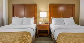 COMFORT INN APPLE VALLEY | Tennessee - Gatlinburg - Pigeon Forge (ve civarı) - Sevierville