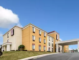 Comfort Suites Cullman | Alabama - Cullman (ve civarı) - Cullman