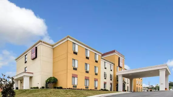 Comfort Suites Cullman | Alabama - Cullman (ve civarı) - Cullman