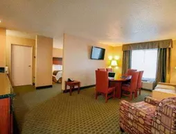 Fairfield Inn & Suites Detroit Livonia | Michigan - Detroit (ve civarı) - Livonia