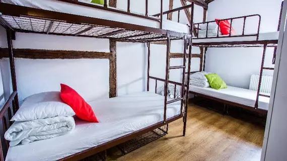 Pink Panther's Hostel Private | Küçük Polonya Voyvodalığı - Krakow (ve civarı) - Krakow - Stare Miasto