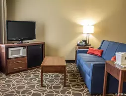 Comfort Inn Dyersville | Iowa - Dubuque (ve civarı) - Dyersville