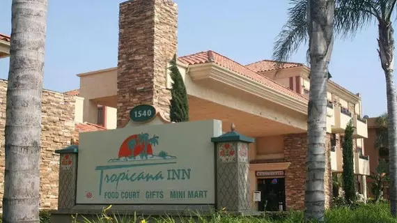 Tropicana Inn & Suites | Kaliforniya - Orange County - Anaheim - Anaheim Resort