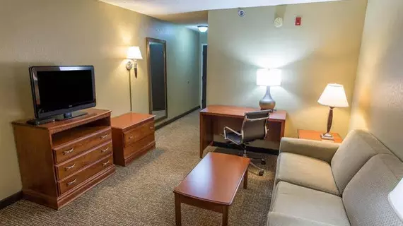 Comfort Inn Opelika | Alabama - Auburn - Opelika (ve civarı) - Opelika