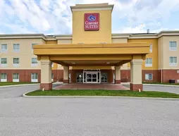 Comfort Suites Indianapolis Airport | Indiana - Indianapolis (ve civarı) - Indianapolis