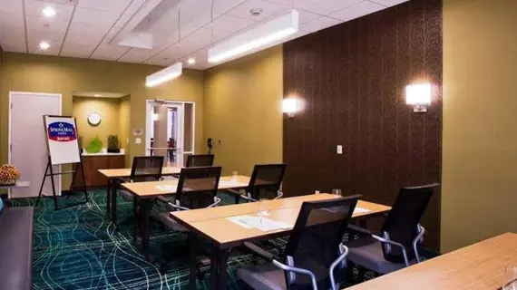 Springhill Suites Mobile | Alabama - Mobile (ve civarı) - Mobile