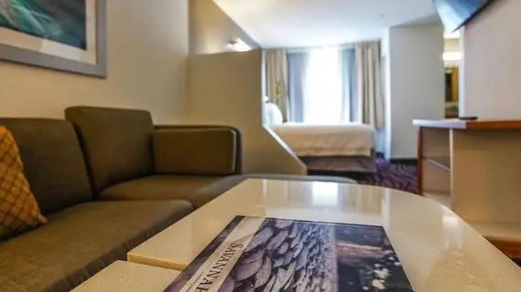 SpringHill Suites Savannah Midtown | Georgia - Savannah (ve civarı) - Savana - Midtown