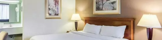 Econo Lodge | Indiana - South Bend (ve civarı) - South Bend