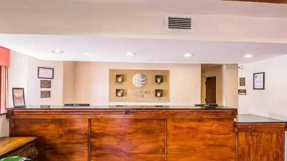 Comfort Inn | Alabama - Jackson (ve civarı) - Thomasville