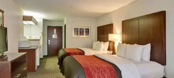 Comfort Inn & Suites-Portland Airport | Oregon - Portland (ve civarı) - Portland - Parkrose