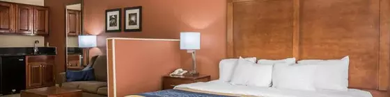 Comfort Inn Livingston | Alabama - Demopolis (ve civarı) - Livingston