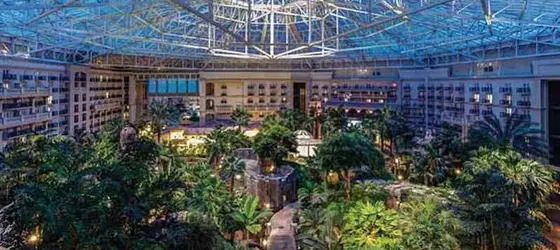 Gaylord Palms Resort & Convention Center | Florida - Orlando (ve civarı) - Lake Buena Vista - Disney's Maingate East