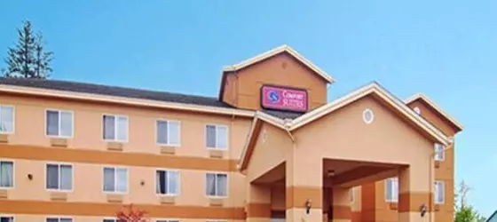 Comfort Suites Southwest Lakewood | Kolorado - Denver (ve civarı) - Lakewood